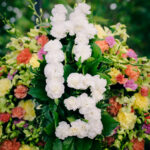 catri paddleout 6-10-2017