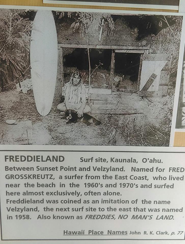Freddieland