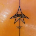overlin surfboard (2)