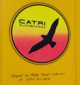 catri paddleboard donation (1)
