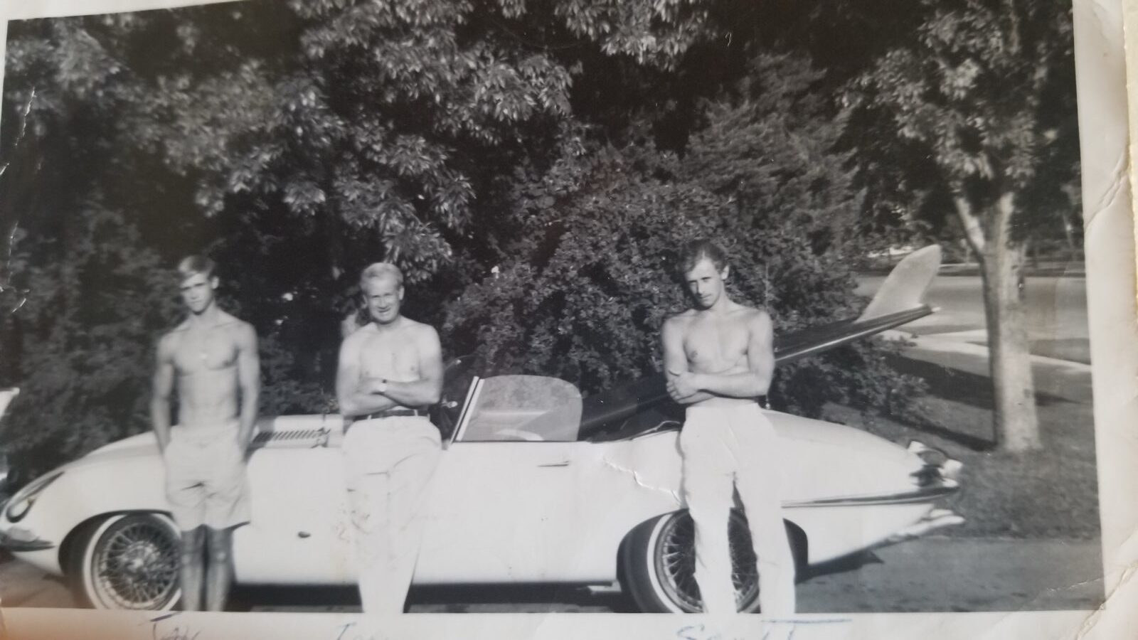 Scott, Tom and Jay Lawton in California- family photo Scott, Tom and Jay Lawton in California- family photo